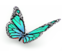 ButterFlyBlueV6XCroppedBrighterSM2-1.png