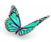 ButterFlyBlueV6XCroppedBrighterSM2.png